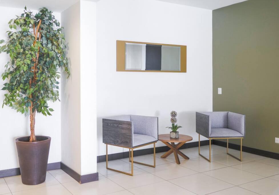 Urban Executive Apartment